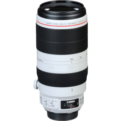 Canon EF 100-400mm f/4.5-5.6L IS II USM