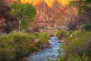 The Black Bridge