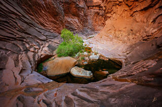 Canyon Oasis