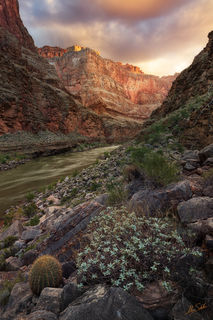 Morning in the Muav Gorge