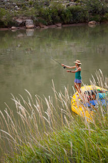 Catch & Release
