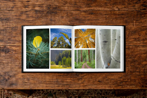 North Rim, Wild and Enduring, Forest, Trees, Grand Canyon, National Park, Coffee Table Book