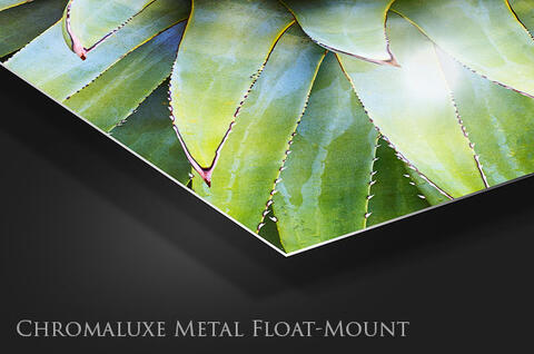 Chromaluxe Metal Print | Float-Mount