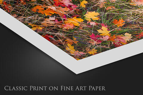Classic Print | Fine Art Paper