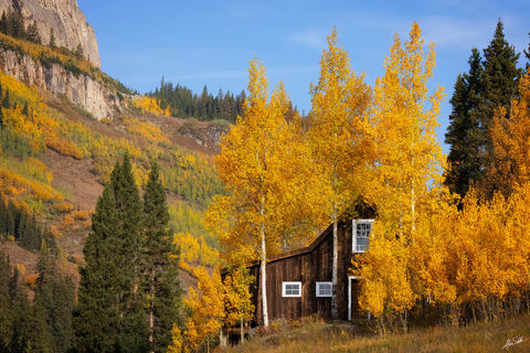 Rustic Rustling