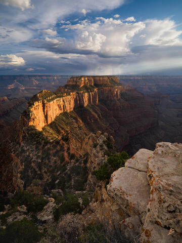 August Light from Cape Royal