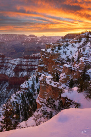 Happy Birthday Grand Canyon National Park!