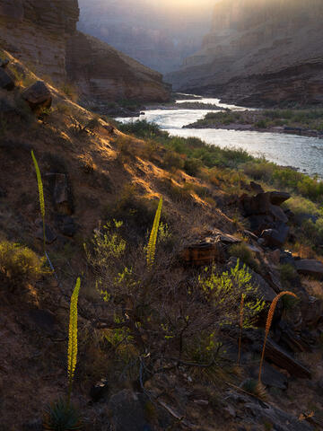 Last Light in Conquistador Aisle