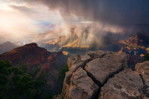 Dancing Rain