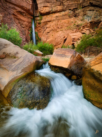 Water from a creek gushes from a slot canyon in a red rock cliff in the Grand Canyon, becoming a waterfall and plunging 100 feet. The water continues and rushes