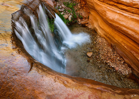 The Patio at Deer Creek