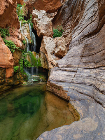 Sacred Song of Elves Chasm