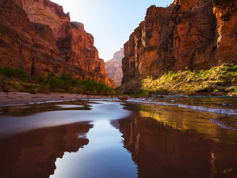 Fern Glen in Morning Light
