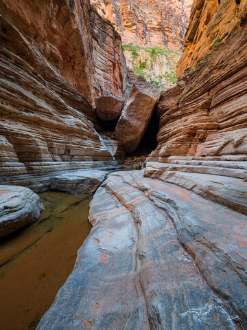 Boulders in Fern Glen
