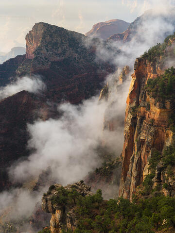 Wandering Clouds