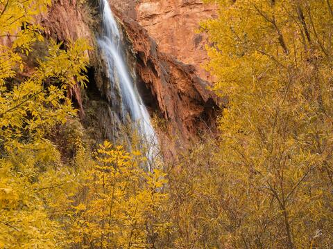 AZ, Arizona, Fall, Grand Canyon, Havasu Canyon, Havasu Creek, Havasu Falls, Havasupai, Havasupai Indian Reservation, Native American...