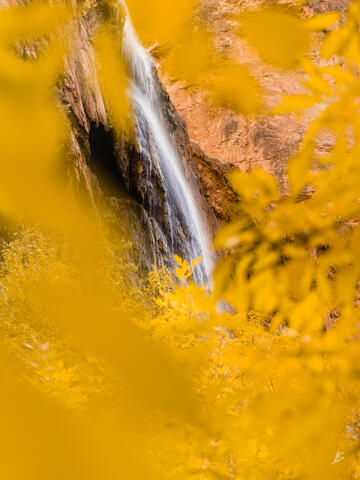 Havasu Fall Window
