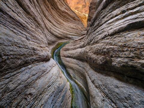 Sinuous Matkat