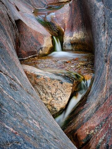 The Heart of Monument Creek