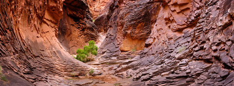 Solitude in North Canyon