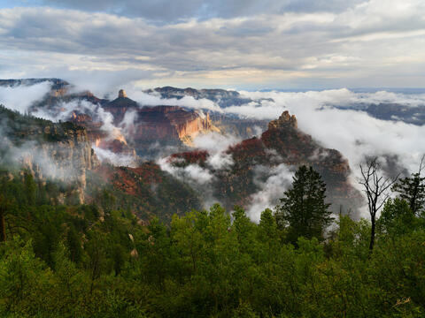 A Moment in Nature - Sailing Amongst the Clouds