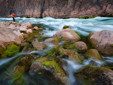 Arizona; Below the Rim; Danilo Faria; Grand Canyon; Granite Rapid; Monument Creek; National Park; Photographer; River Trip
