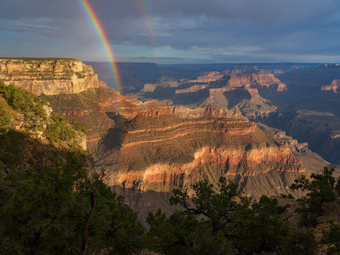 Grand Canyon Monsoon Magic
