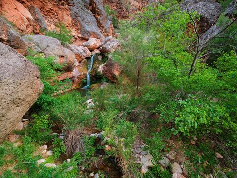 Spring Along Royal Arch Creek