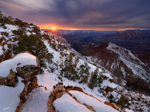 Images from this Winter at the Grand Canyon