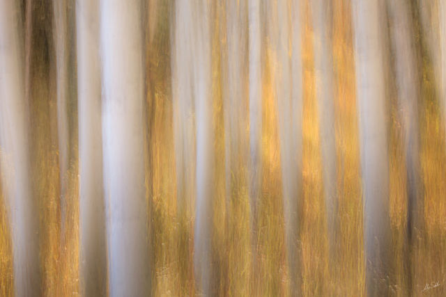 Glimmering Gold
