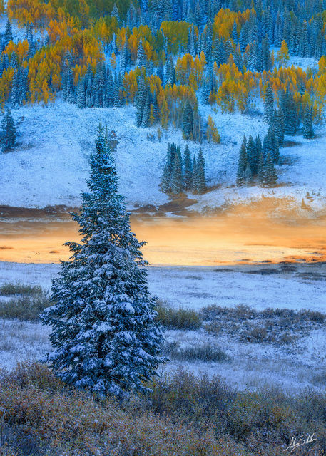 Frozen Glimmer