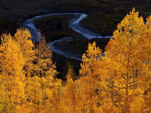 Gold in the East River Valley
