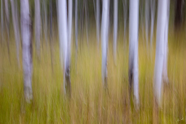 The Approach of Autumn