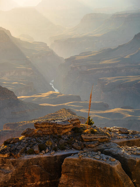 Standing Above the Canyon