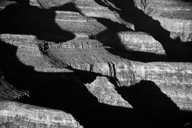 Shadow Play