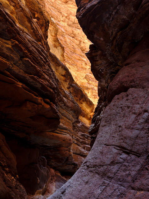 Golden Light in Blacktail