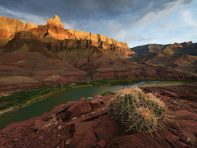 Sunlit Palisades