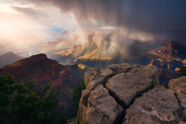 Dancing Rain