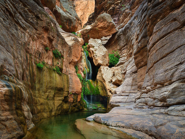 The Land of Elves