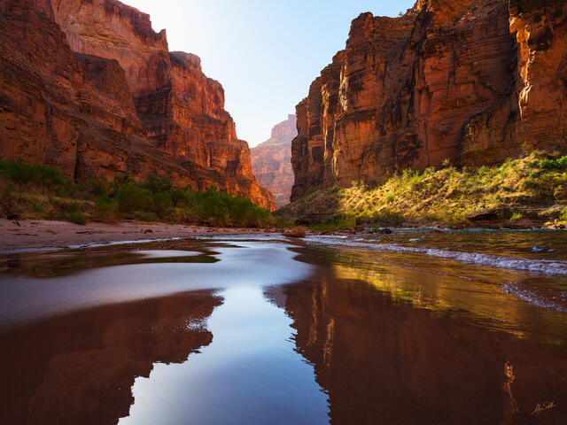 Fern Glen in Morning Light
