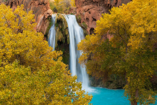 Havasu Falls cascades over red rock cliffs into a pool of turquoise water surrounded by trees with yellow and gold leaves.