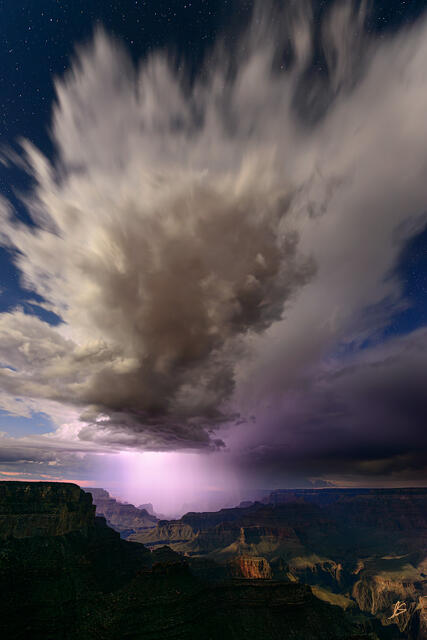 Purple Rain