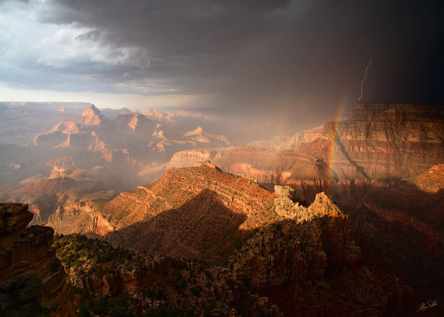 Monsoon Surprise