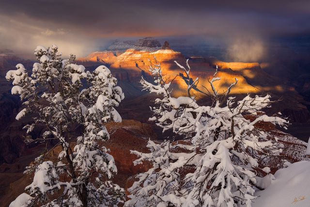 Warmth Reflected