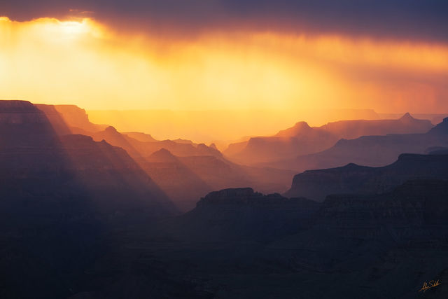 Golden Divide