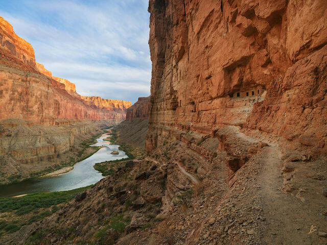 Ancestral Pathway