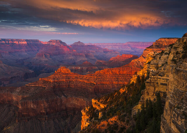 Heart of the Canyon