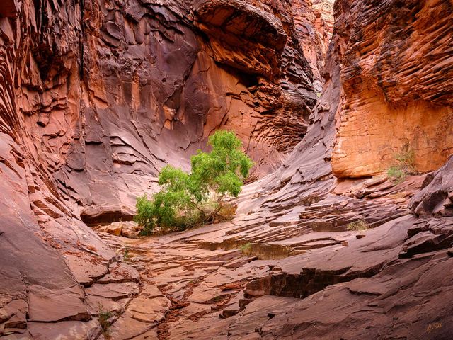 Twisted Canyon