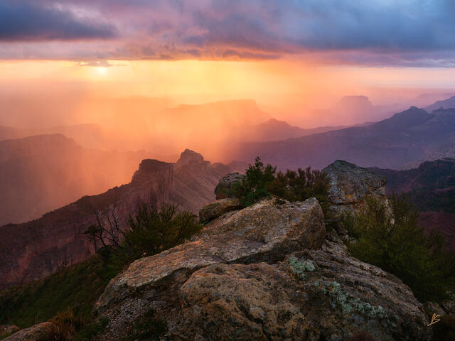 The Gift of Rain