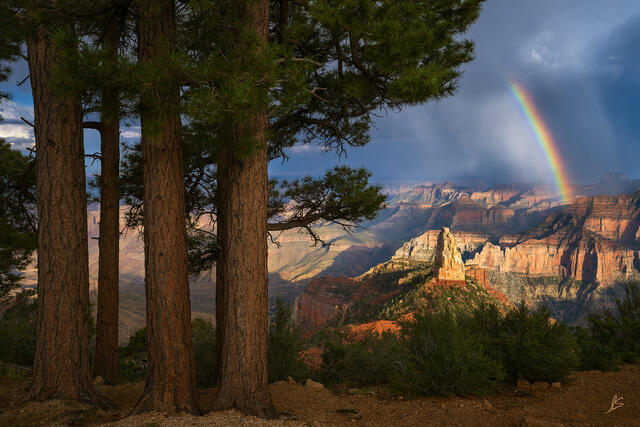 Image of a rainbow at the Grand Canyon with a view of Mount Hayden from the North Rim.